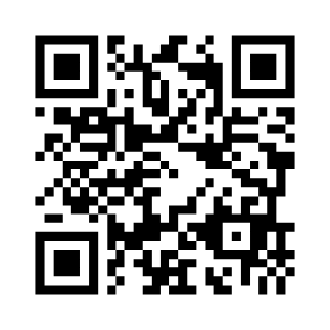 Brazil Support QR Code